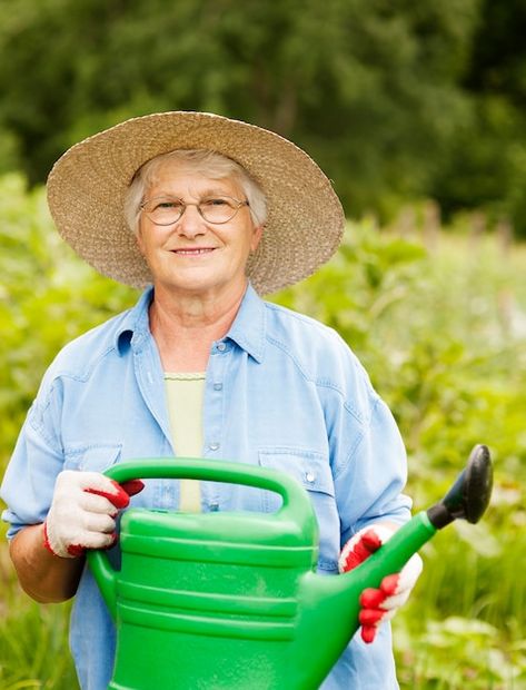 Free photo senior woman holding watering... | Free Photo #Freepik #freephoto #vegetable-garden #woman-farmer #woman-with-glasses #agriculture Holding Watering Can Reference, Body Anatomy, Watering Can, Vector Photo, Free Photos, Hold On, Canning