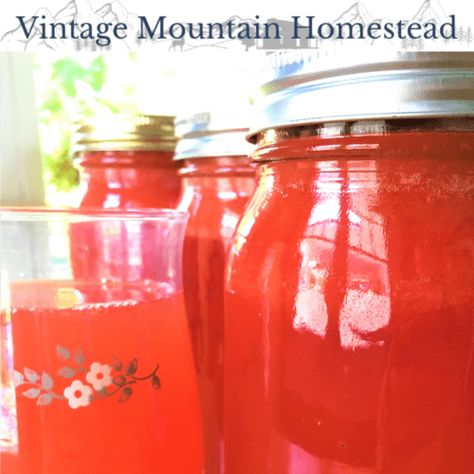 Lemonade Concentrate Recipe, Water Bath Canning Recipes, Flavored Lemonade, Pineapple Jam, Quart Size Mason Jars, Canning Food Preservation, Lemonade Concentrate, Watermelon And Lemon, Water Bath Canning