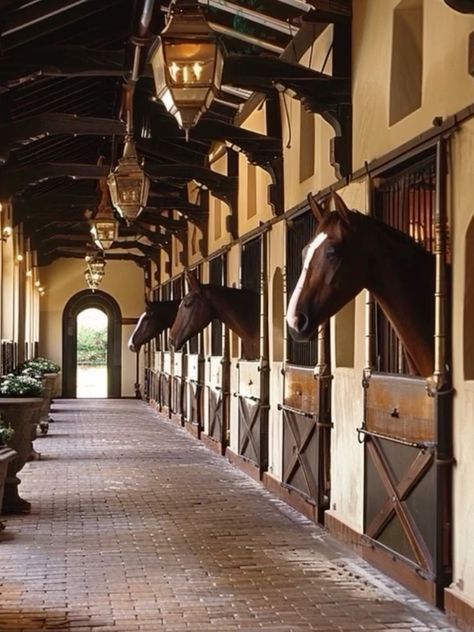 Horse Stables Design, Dream Barn Stables, Equestrian Barns, Horse Barn Ideas Stables, Land Ownership, Horse Arena, Dream Horse Barns, Cape Dutch, Dream Stables