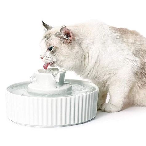 Cake Ceramic, Quiet Cat, Katt Grejer, Spoiled Cats, Cat Water Bowl, Cat Fountain, Drinking Fountains, Cat Water Fountain, Pet Water Fountain