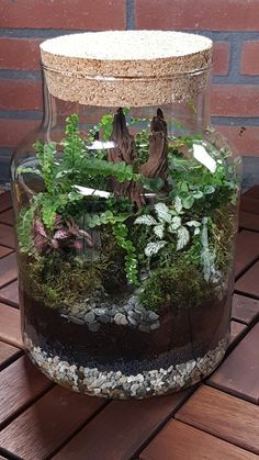 Terrarium With Water Feature, Plant Terrarium Closed, Terrarium Ideas Closed, Mini Ecosystem Diy, Terriums Ideas, Closed Plant Terrarium, Closed Terrarium Ideas, Ecosystem In A Jar, Ecosystem Terrarium