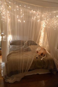 12 DIY Canopy Beds That Will Make Your Bedroom Feel Like a Dreamy Wonderland Christmas Lights In Bedroom, Canopy Bed Diy, Canopy Bed Curtains, Cool Room Decor, Bedroom Lights, Decoration Lights, Fairy Lights Bedroom, Diy Canopy, Bed Canopy