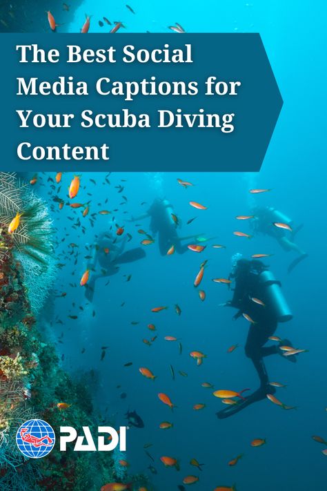 Underwater Captions Instagram, Scuba Diving Captions Instagram, Underwater Quotes, Scuba Diving Aesthetic, Water Captions, Diver Quotes, Facebook Captions, Social Media Captions, Scuba Diving Pictures