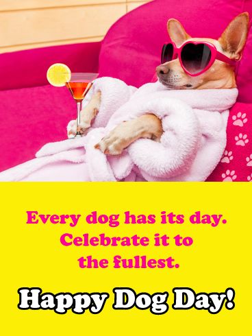 This pampered pooch has a robe on and cocktail in hand. It's a hysterical way to remind any dog lover to spoil their own pup on National Dog Day, August 26th! Dogs are members of the family, and just like anyone, they deserve a special date on the calendar set aside to celebrate their love and loyalty. So send this greeting to your favorite pet owner and let them know, with lots of fun and humor, to dote on their beloved canine all day long! National Dog Day August 26, English Golden Retriever Puppy, Animal Calendar, English Golden Retrievers, National Dog Day, Bushel Baskets, Birthday Reminder, Get Well Wishes, Pampered Pooch