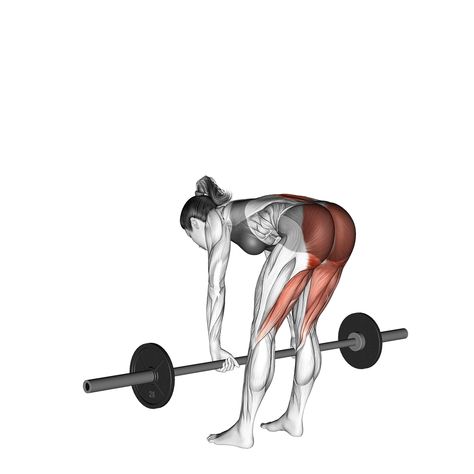 Stiff 3x10 Stiff Legged Deadlift, Deadlift Benefits, Straight Leg Deadlift, Stiff Leg Deadlift, Leg Workouts Gym, Workout Pics, Workouts Gym, Leg Workouts, Leg Press