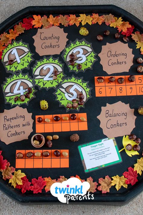 Looking for educational ways to use conkers? This conker maths tuff tray is a great way to get your child excited about fall whilst helping them develop their numeracy skills. Follow the link to download our conker activities EYFS finger gym plan and try out your own tuff tray today! Autumn Activity Preschool, Small World Eyfs Ideas, Back To School Activities Eyfs, Autumn Ideas Preschool, Thanksgiving Tuff Tray, All About Me Eyfs Tuff Tray, Harvest Eyfs Ideas, Maths Activities Eyfs Preschool, Autumnal Activities Eyfs