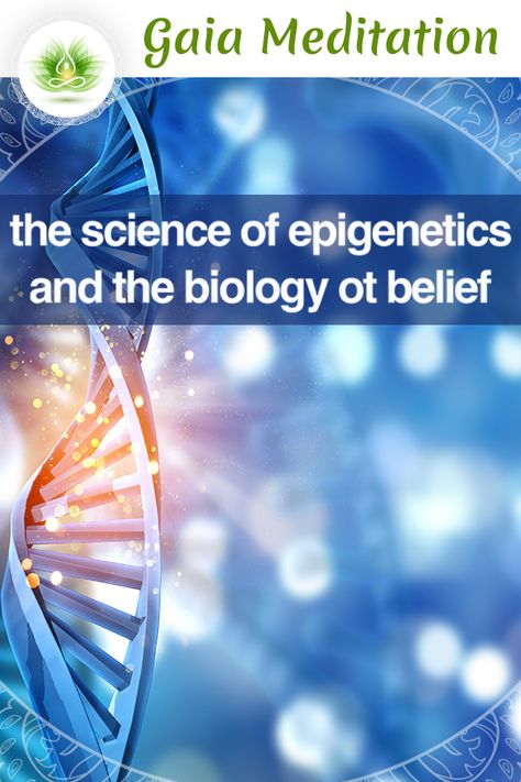 The Science of Epigenetics and the Biology of Belief Epigenetics is the study of the interactions between DNA and the multitude of smaller molecules found within cells, which can activate or deactivate genes. It might actually complicate the old ‘nature versus nurture’ question even more. | Read more about it and about the Subconscious Mind reprogramming explained by Dr. Bruce Lipton. Epigenetics Science, Genetic Memory, Mind Reprogramming, Biology Of Belief, Bruce Lipton, The Subconscious Mind, Mast Cell, Health Topics, Joe Dispenza