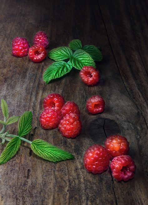 Raspberry Still Life, #Life, #Raspberry Raspberry Painting, Raspberry Reference, Raspberry Art Drawing, Raspberry Photography, Raspberry Still Life, Berry Fruit, Pattern Drawing, Free Pictures, Free Images