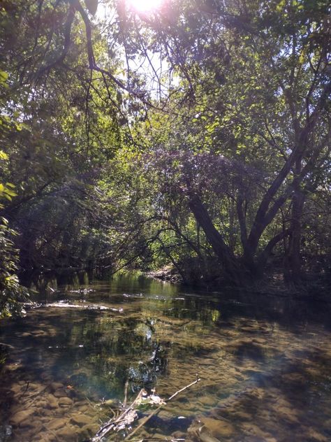 Apocalypse Hideout, Secret Hideout Aesthetic, Hideout Aesthetic, Forest Hideout, Secret Hideout, Forest Stream, Secret Forest, Unknown Pleasures, Red Wolf