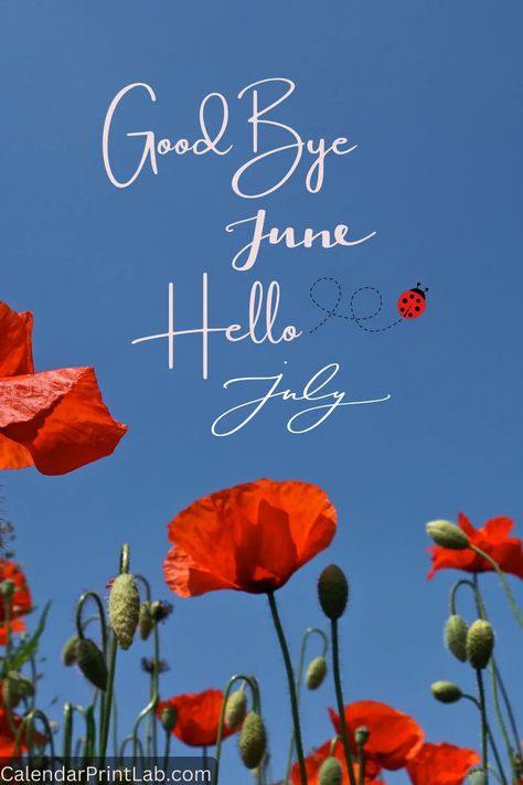 Goodbye June Hello July Flower Image Good Bye June Hello July, Goodbye July Hello August Quotes, Goodbye July Welcome August, Bye July Hello August, Goodbye May Hello June Snoopy, Goodbye June Hello July, Hello July Images, Goodbye June, July Flower