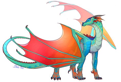 Rain Wings Wings Of Fire, Rainwing Wings Of Fire, Wings Of Fire Rainwing, Glory Wings Of Fire, Fire Drawing, Fire Fans, Wings Of Fire Dragons, Dragon Sketch, Cool Dragons