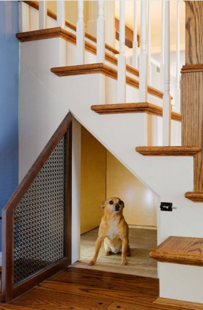 31 Custom Dog House Decor Ideas | Sebring Design Build Dog Under Stairs, Cheap Dog Houses, Under Stairs Dog House, Space Saving Ideas For Home, Room Under Stairs, Custom Dog Houses, Dog Den, Dog Bedroom, Home Engineering