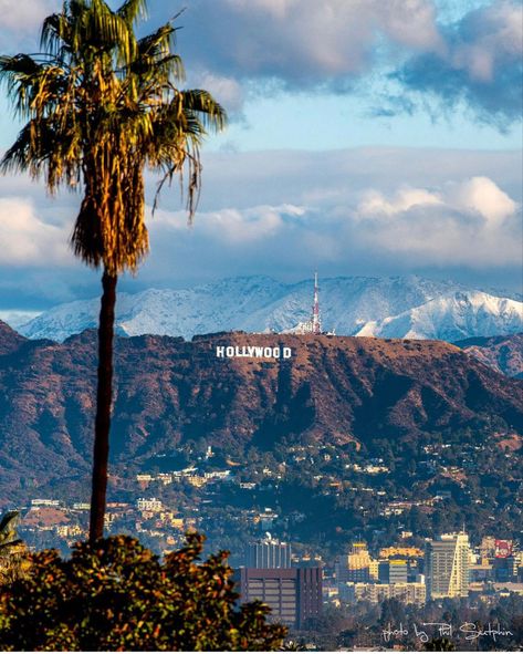 Los Angeles Travel, California Photos, Hollywood Sign, City Of Angels, Hollywood Hills, California Dreamin', California Dreaming, Hollywood California, City Aesthetic