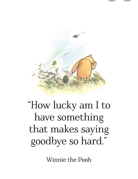 I Am Quotes, Goodbye Quotes, How Lucky I Am, Patience Quotes, Bear Quote, German Quotes, Winnie The Pooh Quotes, Pooh Quotes, Senior Quotes