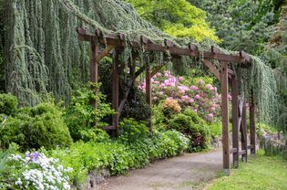 Small Garden Party Ideas, Garden Design Layout, Gravel Garden, Italian Garden, Low Maintenance Garden, Garden Edging, Garden Borders, Small Garden Design, Garden Features