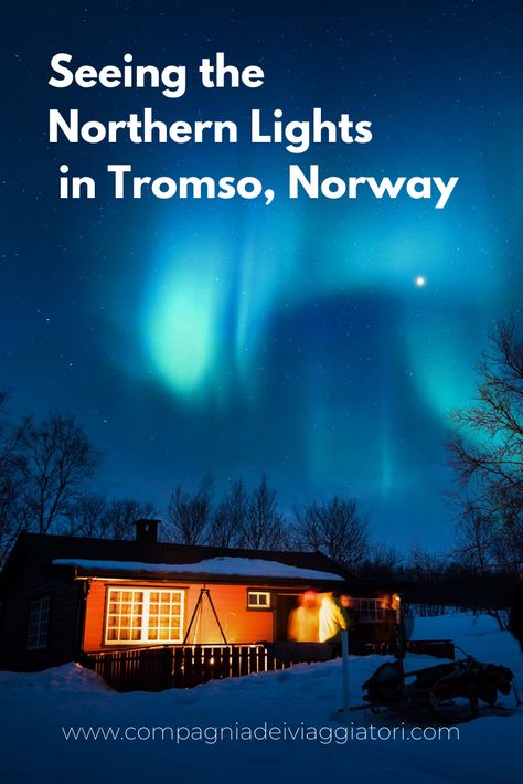 Northern Lights (aurora Borealis), See The Northern Lights, Tromso, Arctic Circle, Aurora Borealis, Norway, Travel Blog, Northern Lights, Aurora