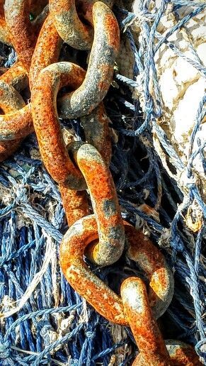 Growth And Decay, Object Photography, Industrial Photography, Trending Pins, Still Life Drawing, Rusty Metal, A Level Art, Still Life Art, Urban Sketching