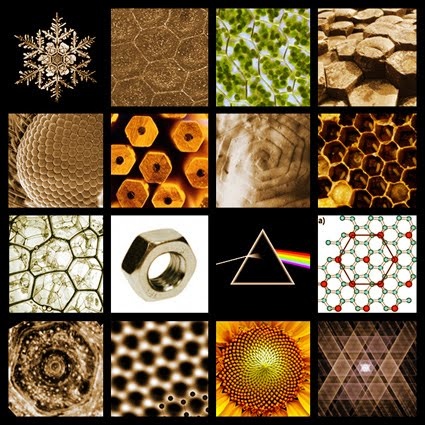 hexagons in nature - Google Search Geometry In Nature Pattern, Honeycomb Sacred Geometry, Hexagon In Nature, Hexagon Sculpture, Hexagon Patterns Geometry, Nature Symbols, Geometry In Nature, Spirit Science, Hexagon Pattern