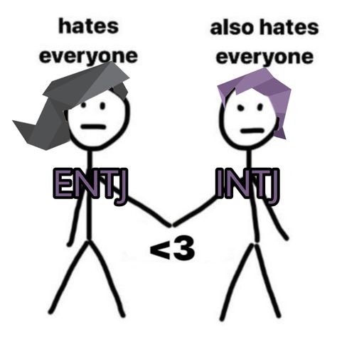 Intj Entj Ship, Entj Intj Relationship, Entj And Intj Relationship, Entj X Intj Relationship, Entj X Entp Ship, Entj Ship, Entj Anime Characters, Intp X Entj Art, Entj And Intj