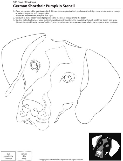 22 Downloadable Dog Breed Pumpkin Stencils Dog Pumpkin Carving, Sheep Quilt, Dog Template, Dog Stencil, Pumpkin Stencils, Pumpkin Cutouts, Dog Pumpkin, Dog Quilts, German Shorthair