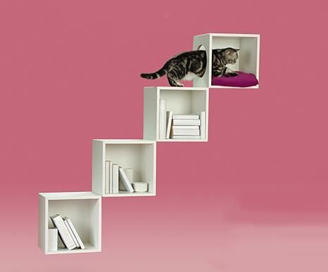 Cat furniture IKEA hacks that actually look good | Now To Love Ikea Hacks For Cats, Diy Kallax, Ikea Cat, Diy Climbing Wall, Katt Diy, Cat Playground Outdoor, Cat Climbing Wall, Cat Wall Shelves, Cat Steps