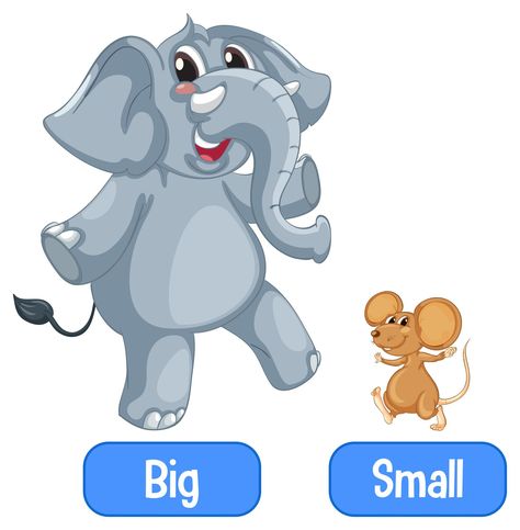 Big And Small Flashcards, Big Small Flashcards, Small Clipart, Adjectives For Kids, Opposites For Kids, Taal Posters, Big Illustration, Common Adjectives, List Of Adjectives