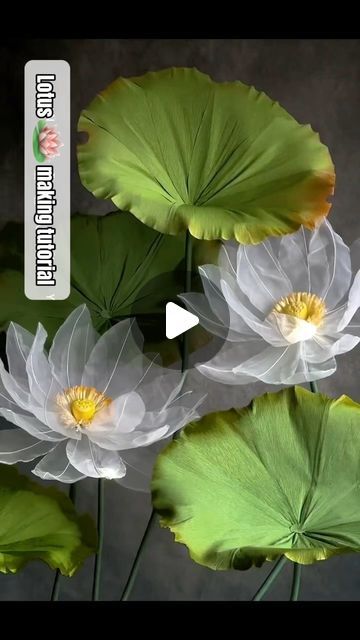 Giant Flower Wedding, Giant Lotus, Garden Installation, Chinese Lotus, Paper Lotus, T Party, Flower Magic, Craft Flowers, Fabric Flower Tutorial