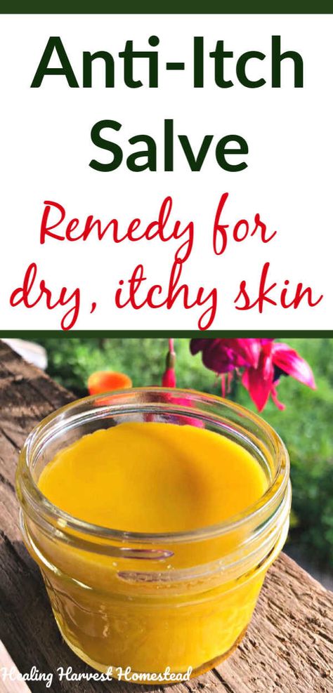 Have itchy skin? Here is a natural herbal salve that is a great remedy for itchy skin caused by dryness, rashes, bug bites, etc. It's an all purpose soothing salve for itching, inflamed skin. This recipe for herbal healing skin salve is easy to make and meant to soothe irritated and itchy, scaly skin. #salve #homeremedy #itchy #skin #skinsalve #itchyskinsalve #diy #howtomake #recipe #skincare #homemade #handmade #healingharvesthomestead Remedy For Itchy Skin, Healing Skin, Salve Recipes, Home Remedies For Skin, Herbal Salves, Anti Itch, Dry Itchy Skin, Natural Healing Remedies, Herbal Healing