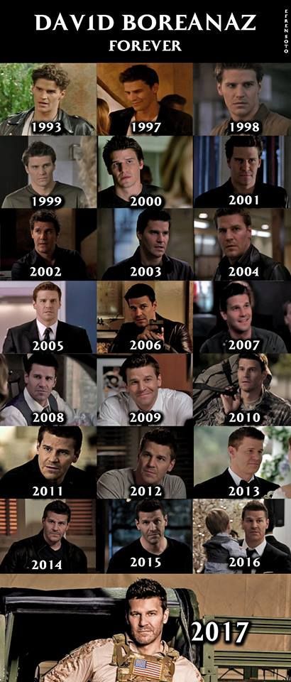 David Boreanaz Bones, Angel David Boreanaz, David Boreanaz Angel, Bones Memes, Bones Booth, Bones Series, Seeley Booth, Bones Tv Series, Booth And Brennan