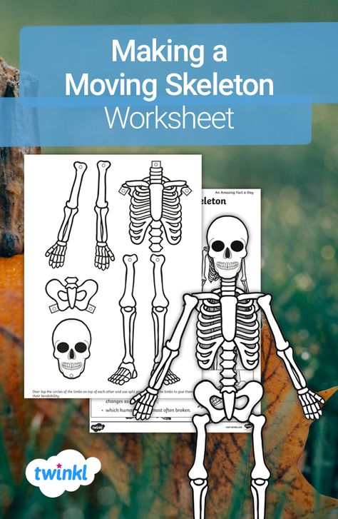 Investigate the wonders of the human body with this Making a Moving Skeleton Worksheet. Great as a scientific link to a Halloween topic, this resource is sure to create a buzz around the room and get the children asking lots of scientific questions. Click to download and visit the Twinkl website for more great science resources.   #halloween #halloweenwriting #writingprompts #teachingresources #teacher #twinkl #twinklresources #homeschooling #homeeducation #skeleton #science #humanbody #stem Moving Skeleton Craft, Skeleton Worksheet, Skeleton Labeled, Skeleton Template, Paper Skeleton, Skeleton Craft, Skeleton Parts, Halloween Resources, Anatomy Lessons