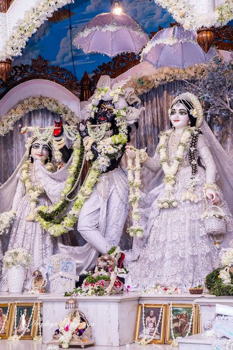 Radha Krishna Mandir, Vrindavan Photography Pictures, Radha Beauty, Iskcon Krishna, Radhe Krishna Wallpapers, Shree Krishna Wallpapers, Hindu Dharma, Lord Krishna Hd Wallpaper, Radha Krishna Wallpaper