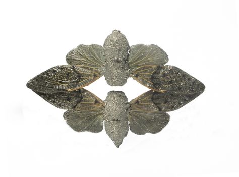 Märta Mattsson. Brooch: Fossil, 2011. Crushed pyrite, cicadas, silver, resin. Brooch Design, Abstract Jewelry, Whimsical Jewelry, Art Jewelry Contemporary, Small Sculptures, Silver Brooch, Contemporary Jewellery, Contemporary Jewelry, Artistic Jewelry