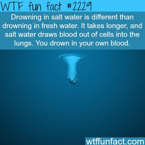 WTF Facts : funny, interesting & weird facts Creepy Facts, Wow Facts, Science Facts, A Silent Voice, True Facts, The More You Know, E Card, Salt And Water, Health Facts