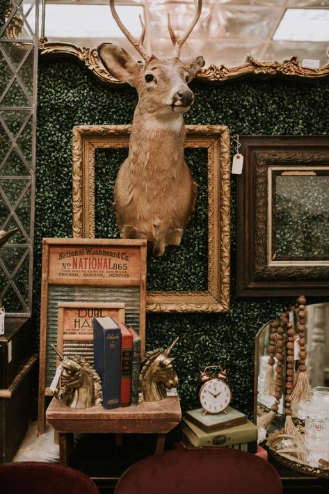 Vintage Taxidermy Deer Grandmillenial Style Interiors, Vintage Taxidermy, Taxidermy Deer, Small Writing Desk, Future Foundation, Grandmillenial Style, Grand Millennial, Trophy Rooms, Southern Comfort