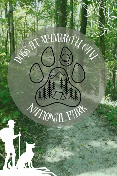 Dogs love adventures, too! Mammoth Cave National Park is one of the few National Parks that are dog Friendly. Take advantage of this opportunity to adventure with your dogs and visit Mammoth Cave. Know where to go and what you can do at Mammoth Cave with your pup. Things To Do Near Mammoth Cave Kentucky, Mammoth Cave National Park Kentucky, Dog Friendly National Parks, Mammoth Cave National Park Hiking, Mammoth Cave National Park, Mammoth Cave, Mammoth Lakes, Dog Adventure, Dogs Love