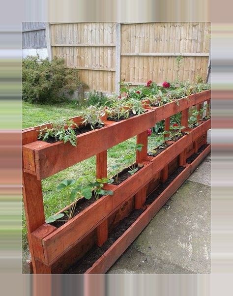 Pallet Garden Ideas, Pallet Garden Walls, Palette Garden, Pallet Projects Garden, Garden Decor Diy, Balcony Ideas Apartment, Pallet Garden, Pallets Garden, Vegetable Garden Design