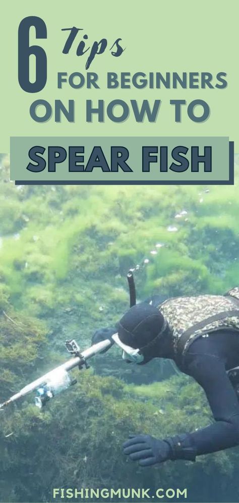 Learn six tips for beginners on how to spear fish. Spearfishing is a unique type of hunting. It’s a sport that involves the use of several different skills. Learning how to spearfish with a spear gun is about knowing all the tricks. These expert tips will get you started as you immerse yourself in the thrill of spearfishing. Beginner Fishing, Spearfishing Gear, Spear Fishing, Types Of Hunting, Fishing For Beginners, Bass Fishing Tips, Hawaii Life, Fishing Tips, Fishing Gear