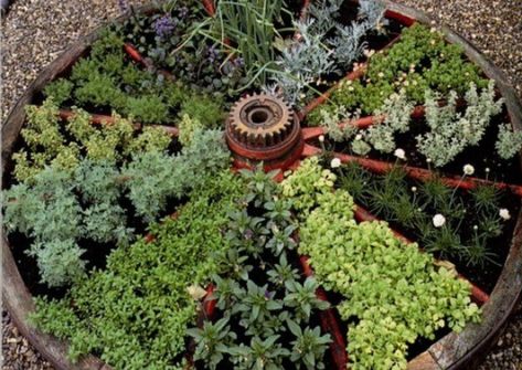 Backyard Herb Garden, Backyard Garden Beds, Small Herb Gardens, Outdoor Herb Garden, Herb Garden Ideas, Herb Garden Design, Backyard Garden Landscape, Indoor Vegetable Gardening, Herbs Garden