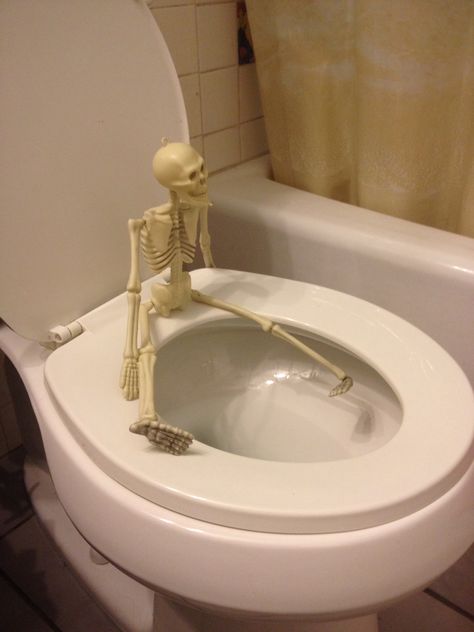 Instead of elf on a shelf for Halloween its Mr. Bones on the throne! Stay tuned for the adventures of Mr Bones Mr Bones Skeleton, Skeleton On Toilet, Skeleton Pictures, Spooktober Memes, Silly Skeleton, Chef Kiss, Laredo Texas, Mr Bones, Elf On A Shelf