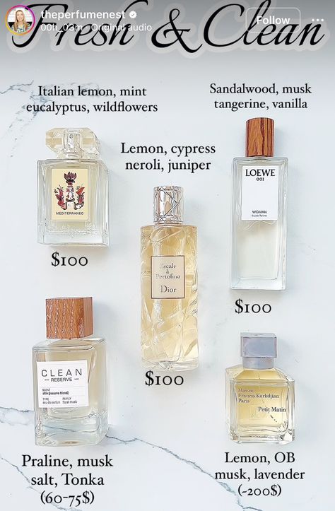 Fresh Clean Perfume, Clean Scent Perfume, Mode Coachella, Perfume Ideas, Unique Perfume, Fragrance Lab, Books Design, Fresh Perfume, Scent Perfume