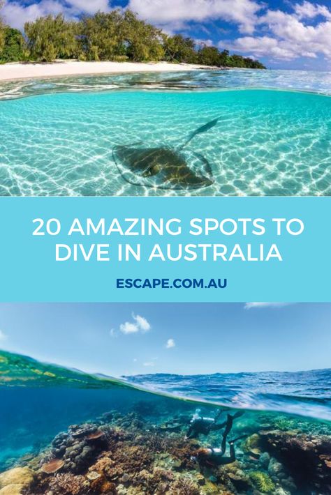 Diving Australia, Aus Travel, Holland Beach, Scuba Diving Australia, Travel Holland, Travel Overseas, Sydney Travel, Visit Wales, Australia Travel Guide