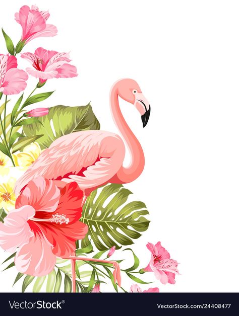 Flamingo background design tropical flowers Vector Image Flamingo Background, Tropical Flowers Illustration, Plumeria Tree, Flamingo Illustration, Flamingo Wallpaper, Flamingo Painting, Flamingo Birthday Party, Flowers Vector, Flamingo Birthday