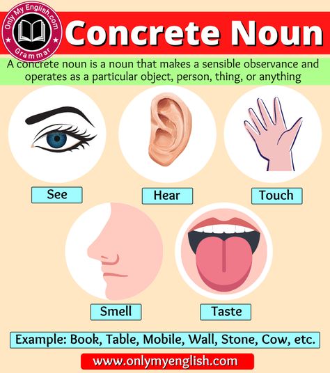 Concrete Noun: Definition, Examples, Sentence & List Noun Grammar, Nouns Grammar, Five Senses Preschool, Concrete Nouns, Noun Definition, Types Of Nouns, Fruit Coloring, Senses Preschool, Abstract Nouns