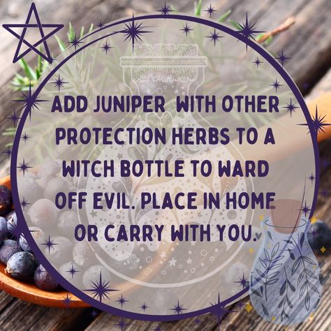 Witches Jar, Witchy House, Witch Bottles, Magickal Herbs, Folk Magic, Kitchen Witchery, Plant Crafts, Herbal Magic, Wiccan Spells