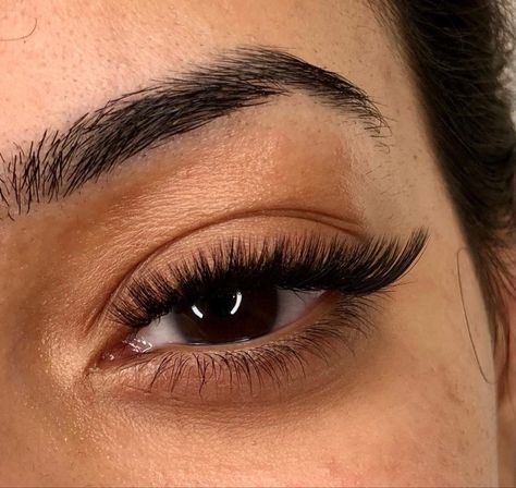 Fox Eyelash Extension, M Curl Lash Extensions, M Curl Lashes, D Curl Cat Eye Lash Extensions, C Curl Eyelash Extensions, L Lashes, C Curl Eyelash Extensions Cat Eye, L Curl Eyelash Extensions, Eyelash Extensions L Curl