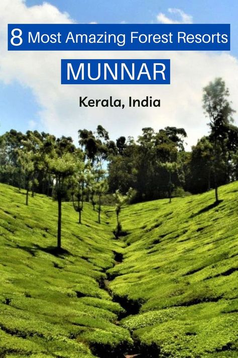 forest resorts in munnar Forest Resort, Holiday Travel Destinations, Munnar, Hill Station, Best Resorts, Planning A Trip, Best Budget, Best Places To Travel, Holiday Travel