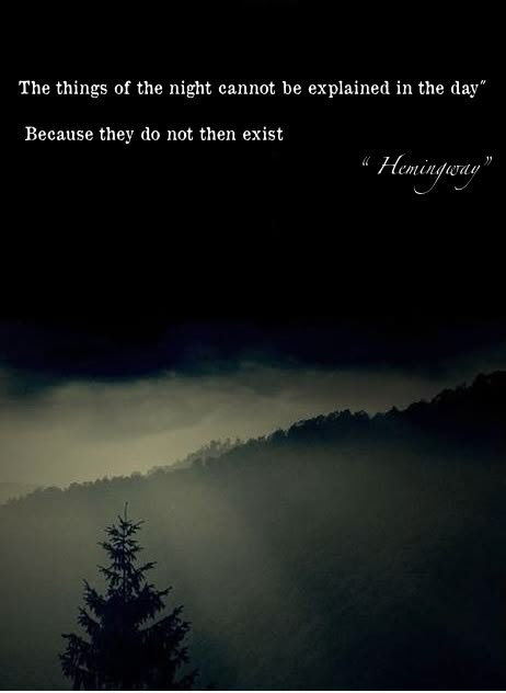 "the things of the night cannot be explained in the day. because they do not then exist." - hemingway Quotes Sylvia Plath, Ernst Hemingway, Hemingway Quotes, Typewriter Series, Slaap Lekker, Sylvia Plath, Ernest Hemingway, Literary Quotes, Poem Quotes