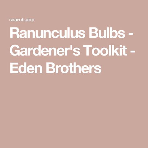 Ranunculus Bulbs - Gardener's Toolkit - Eden Brothers Ranunculus Bulbs, When To Plant, Library Inspiration, Starting Seeds Indoors, Plant Guide, Fast Facts, Late Winter, Herb Seeds, Fall Plants