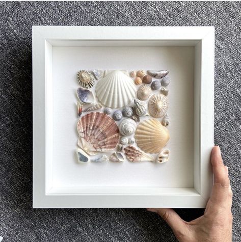 How To Display Shells From The Beach, Sea Shell Display Ideas, Auger Shell, Seashell Art Diy, Shell Artwork, Art Coquillage, Seashell Projects, Seashell Wall Art, Shells Diy