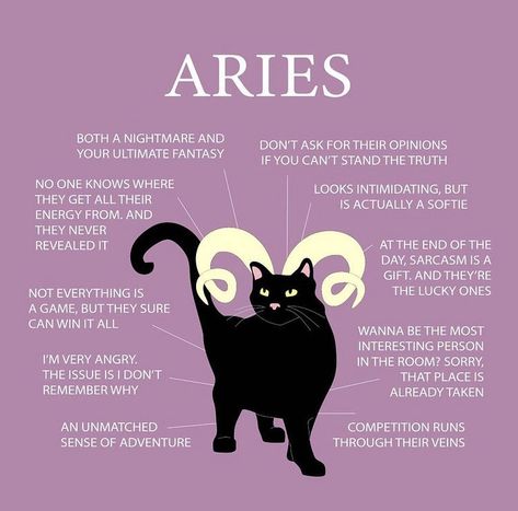 Aries Body Type, Aries Core, Aries Journal, Aries Vibes, Aries Things, April Aries, Aries Sun, Astrology Signs Aries, Aries Girl